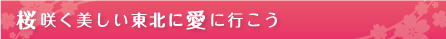 桜咲く美しい東北に愛に行こう