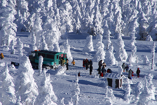 東北雪見街道