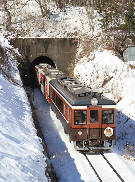 東北雪見街道