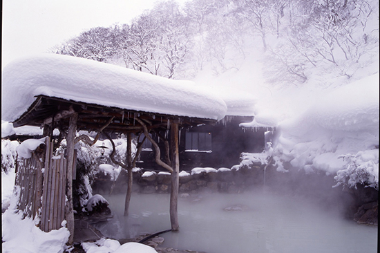 東北雪見街道