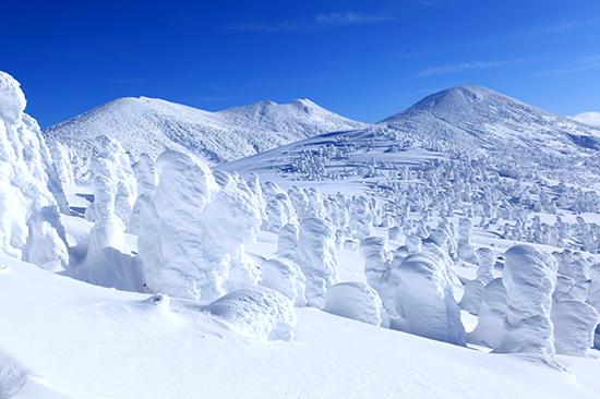 東北雪見街道