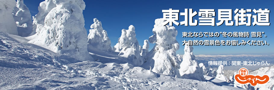 東北雪見街道