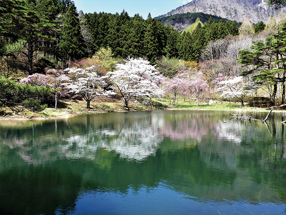 【福井県】『行ってみたい！自然公園』