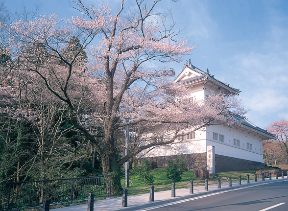 東北 夢の桜街道 復興への祈りを捧げる 桜の札所 八十八ヵ所巡り