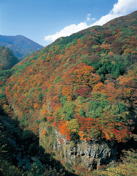 酒蔵周辺紅葉スポット