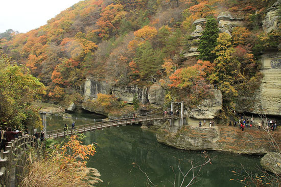 酒蔵周辺紅葉スポット