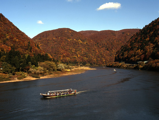 酒蔵周辺紅葉スポット