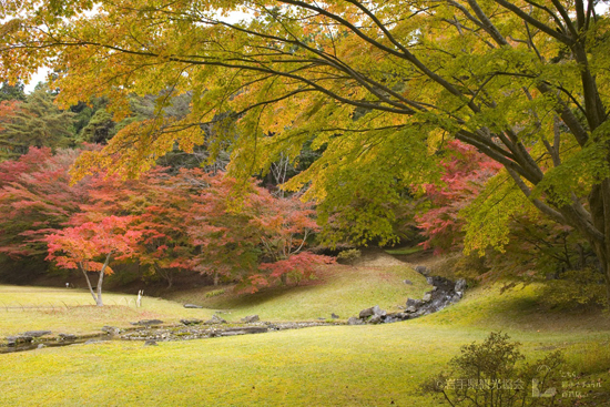 酒蔵周辺紅葉スポット