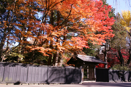 酒蔵周辺紅葉スポット