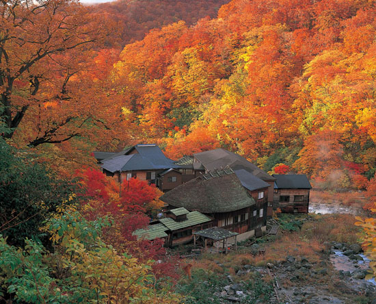 酒蔵周辺紅葉スポット