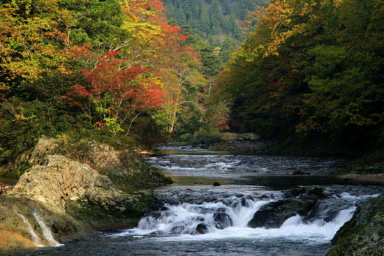 酒蔵周辺紅葉スポット