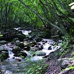 東北酒蔵街道