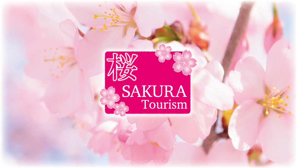 TOHOKU SAKURA TOURISM